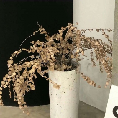 Furry插画手绘技巧干货FurryQQ群